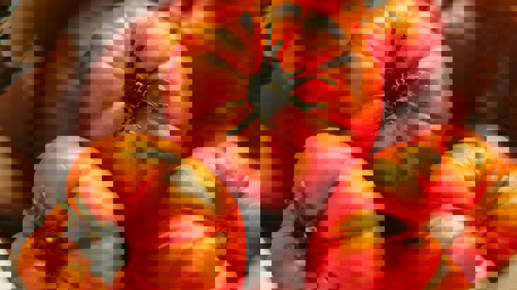 Pexels Gulsahaydgn 17674123